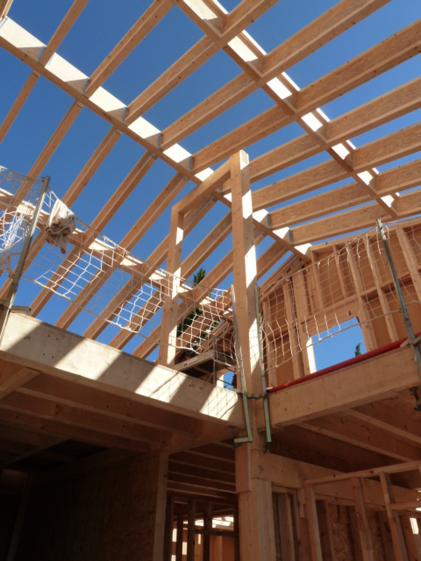 maison_individuelle_a_haute_performance_energetique_maison_l-photo-7.jpg