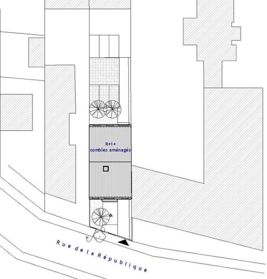 Plan de Masse
