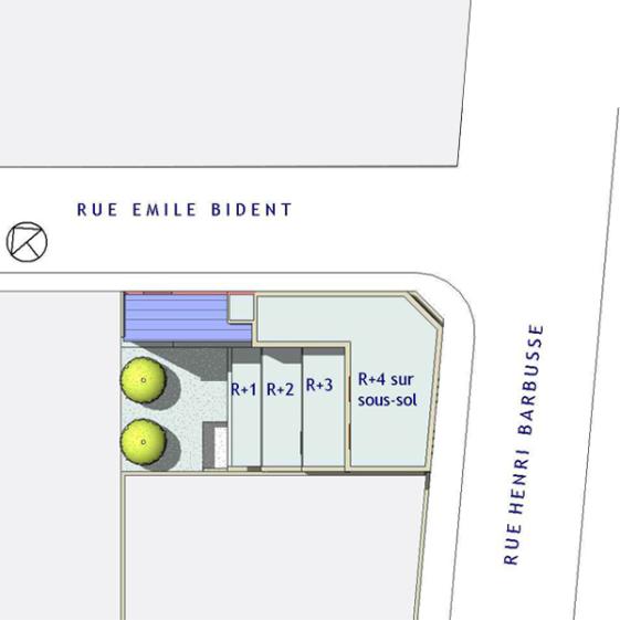 Plan de Masse