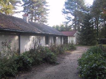 allee.jpg