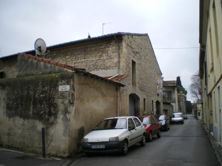 imgp0461.jpg