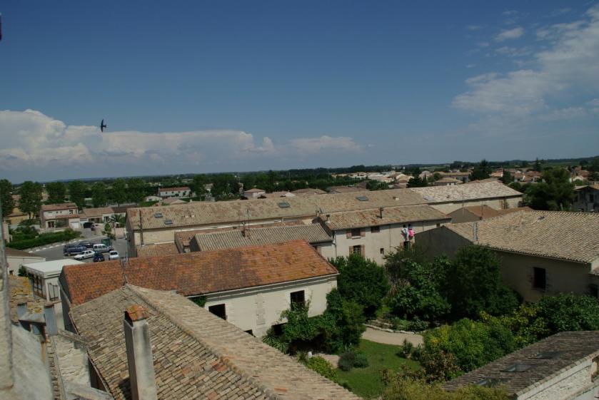 imgp8001.jpg