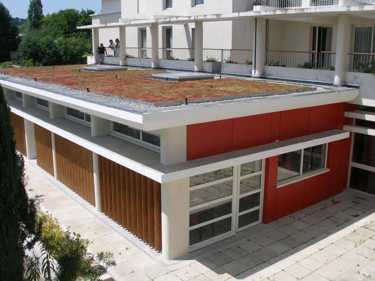 extension_avec_terrasse_vegetalisee.jpg