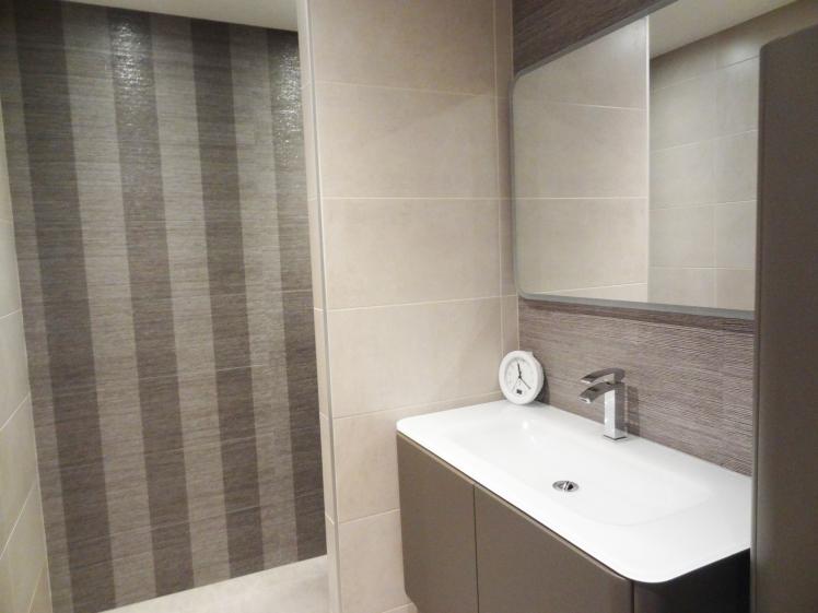 renovation_longere_extension_bois_et_zinc_locmariaquer_8.jpg