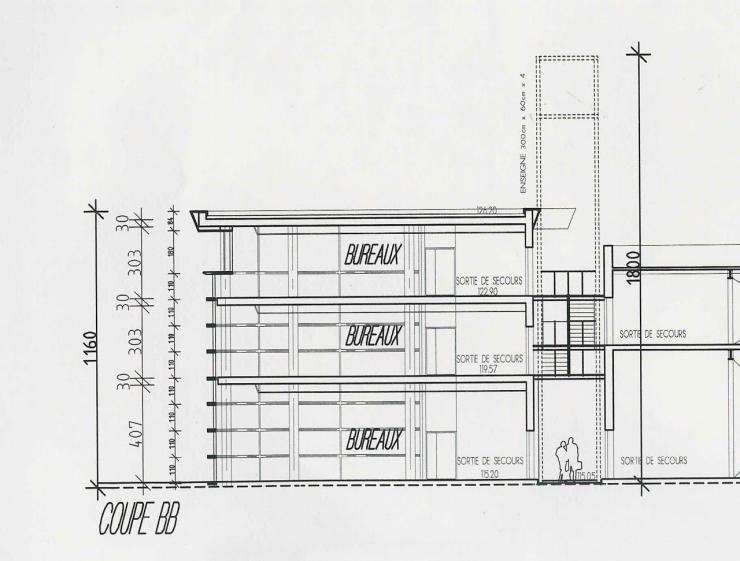 ams_0007.jpg