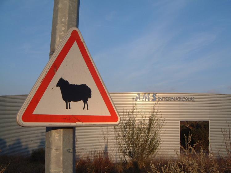 ams_034.jpg
