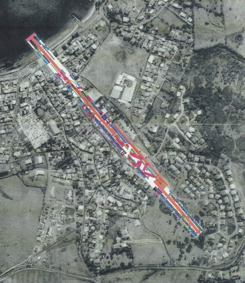 europan_dom_vauclin_plan_masse_tiff2.jpg