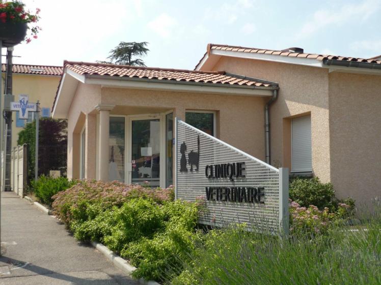 01_clinique_veterinaire.jpg