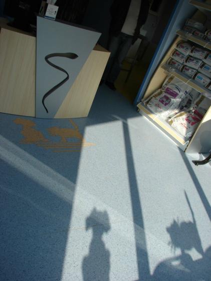 03_clinique_veterinaire.jpg