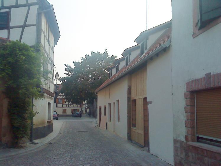 ILOTS BORNERT & CANARDS - SELESTAT (67)