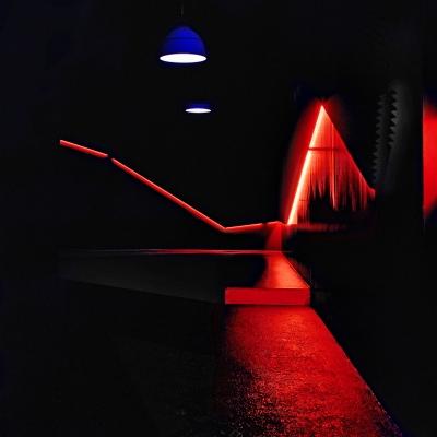 Le Mudd Club