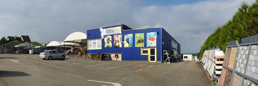 IDN ARCHITECTURE VUE AVANT TRAVAUX SUR MAGASIN JARDINERIE ANIMALERIE 
