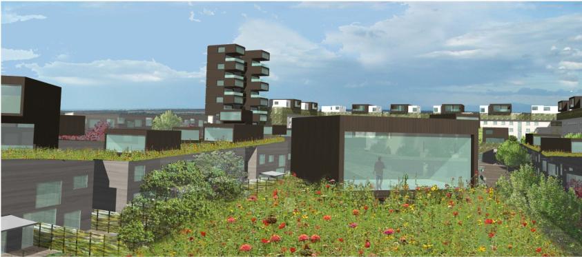 EUROPAN - CITE CELLIER - 235 logements - MULHOUSE (68)