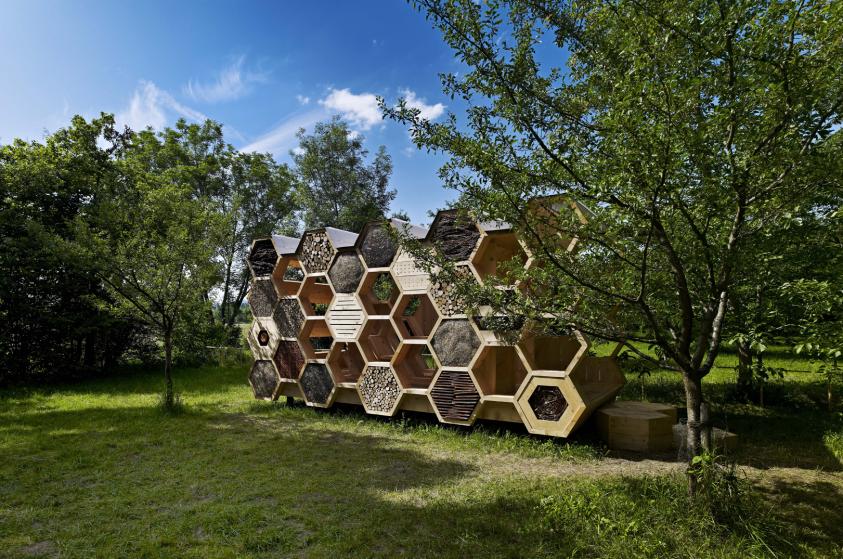 Construction d'une cabane (hôtel à insectes) dans le cadre du festival archi<20 