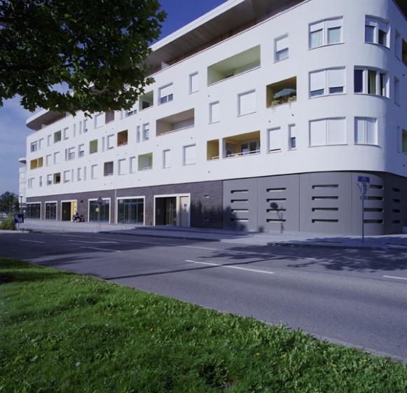 2010_08_hirondelles_03.jpg