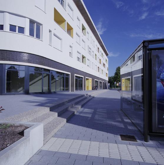 2010_08_hirondelles_04.jpg