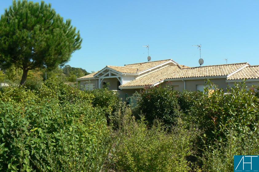 cp1150398.jpg