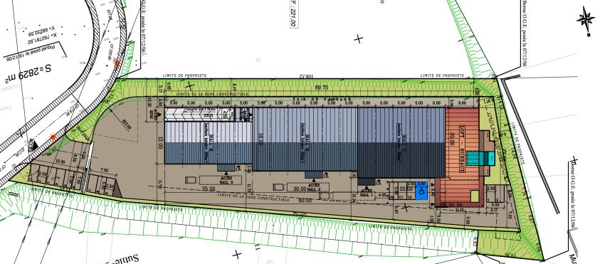1_-_s-2f_organisation.jpg