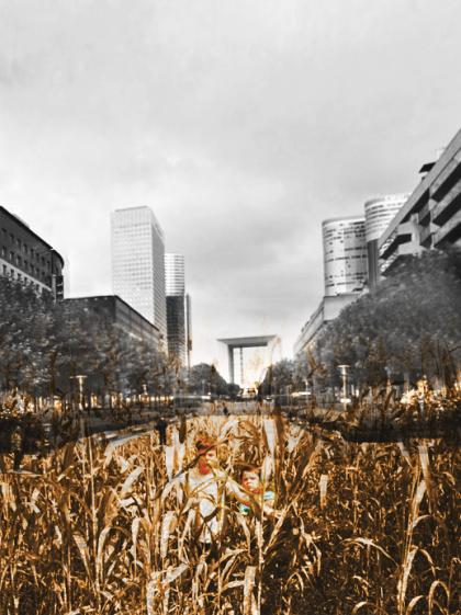 02-_la_prairie.jpg