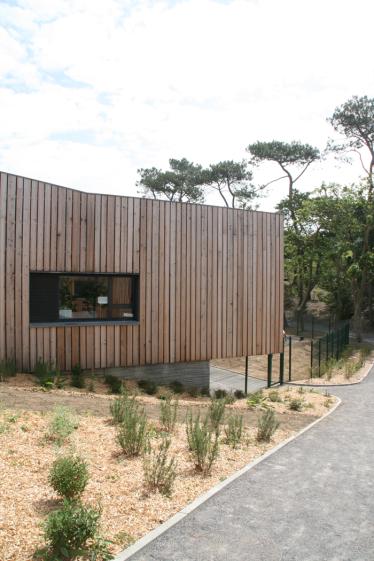 eb02009.jpg