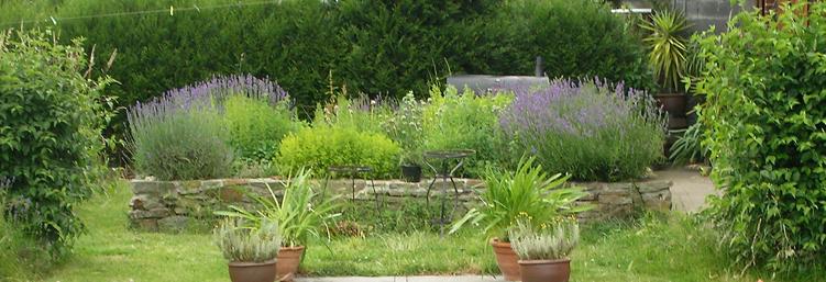 jardin_vc_22.jpg