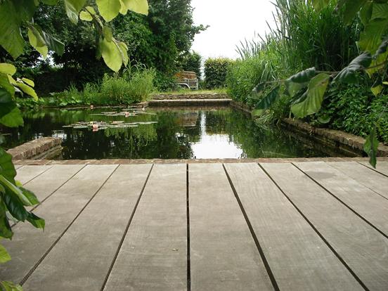 jardin_vc_4.jpg