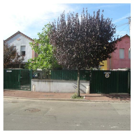 paysage, unité dans la diversité