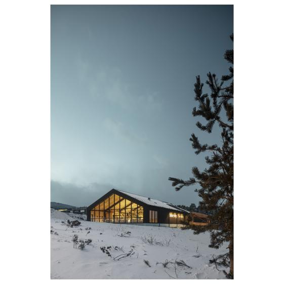 agp1606_9453web.jpg