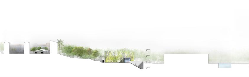 247-elevation_nord.jpg