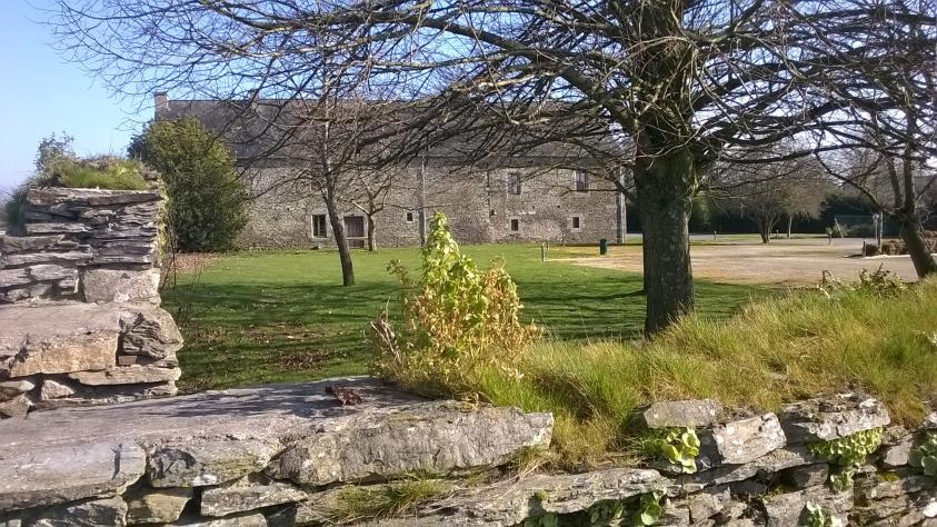wp_20230215_001.jpg