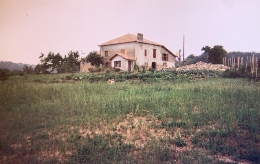 image_50366977.jpg