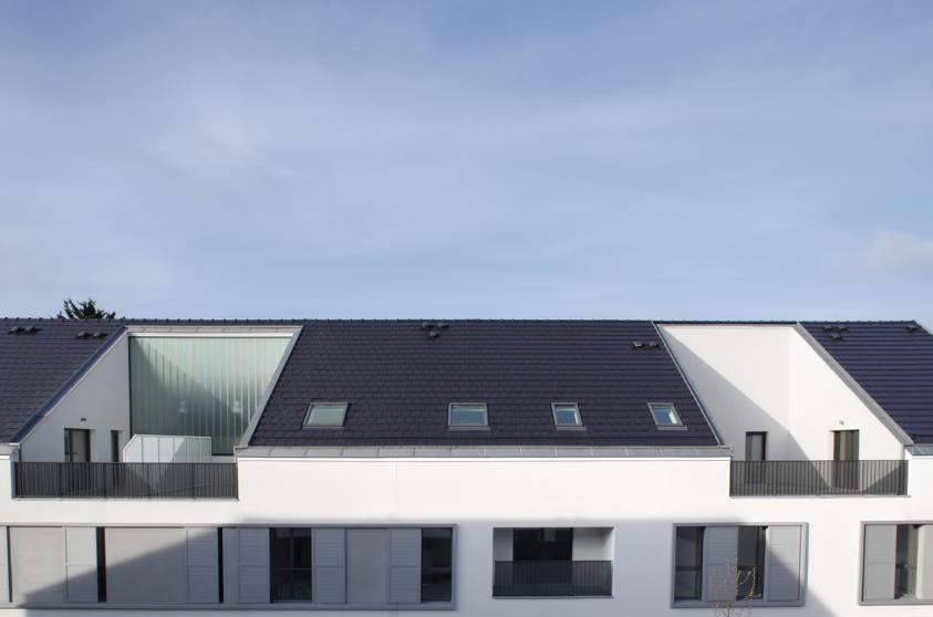 cesson_09.jpg