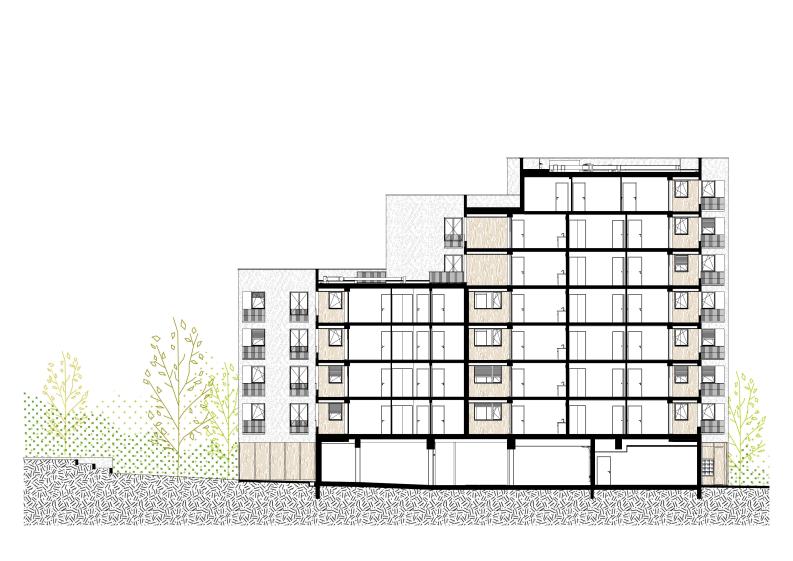 Mabire-Reich Architectes - Coupe
