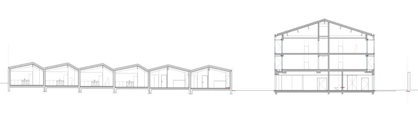 Mabire-Reich Architectes - Coupe