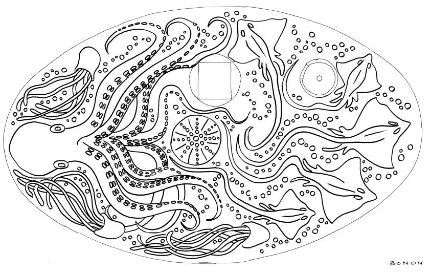 4_2271_capitainerie_de_carnon_dessin_toiture.jpg