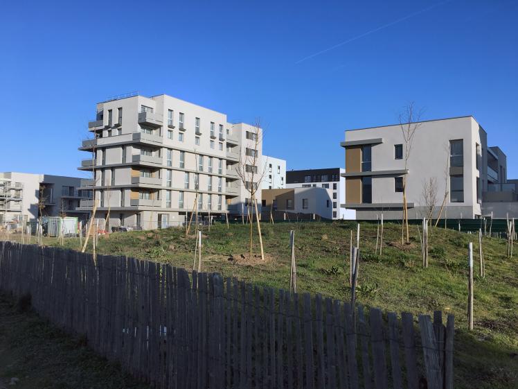 Vue depuis le jardin de Traverse de la ZAC
