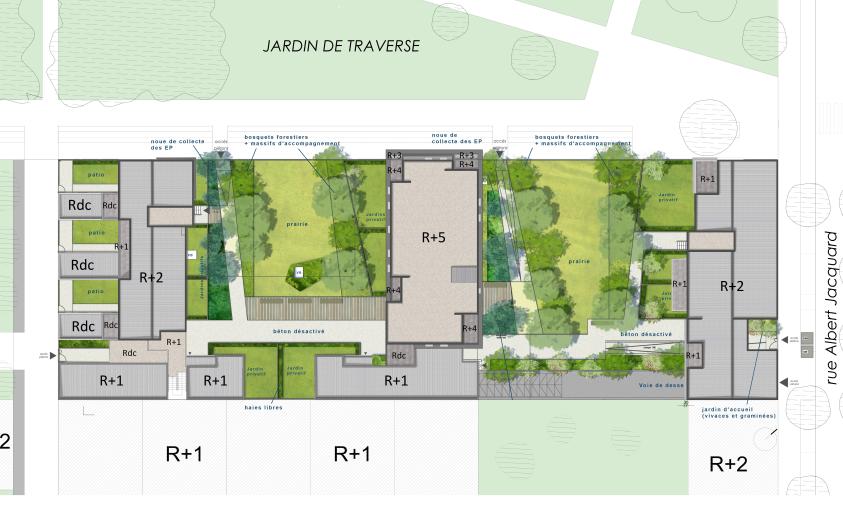 Plan masse du cœur d'ilot