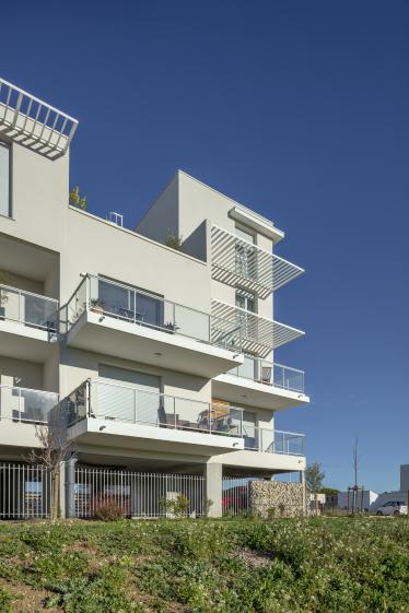 lot_8a_arriere_detail_-2.jpg