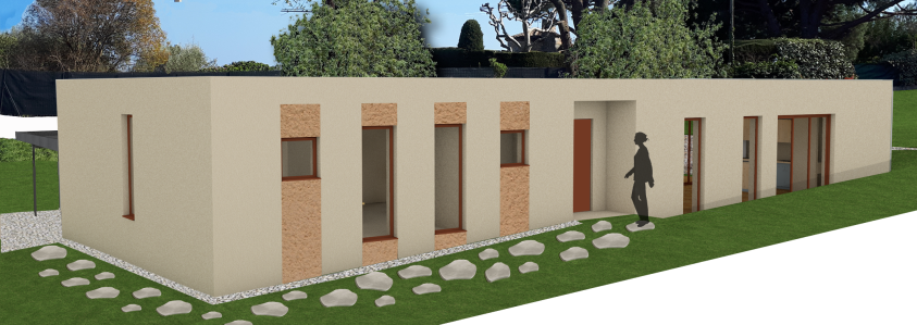 Perspective projet