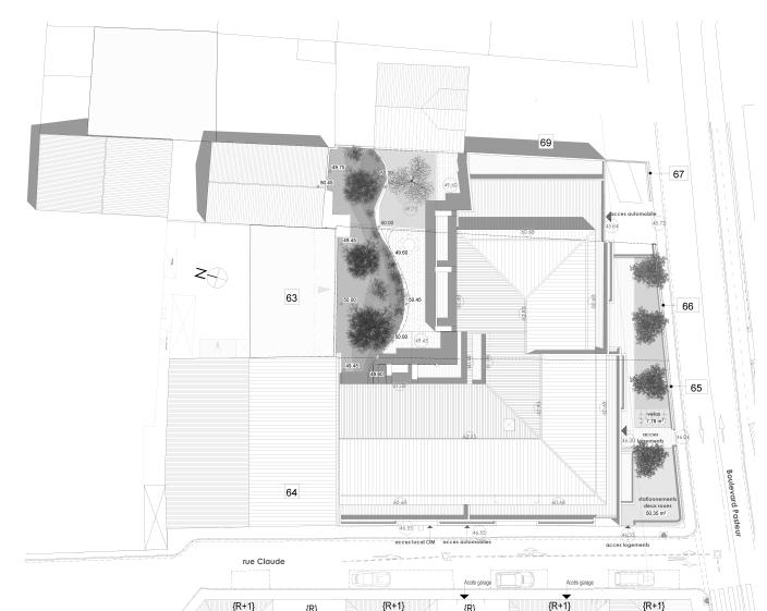 Plan de masse Projet