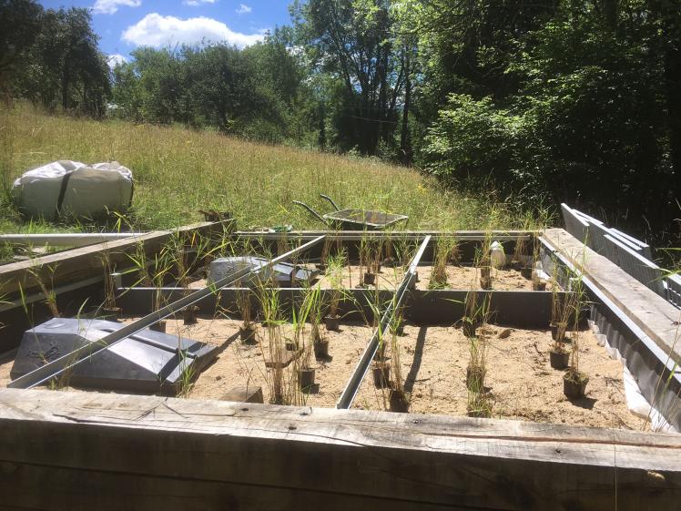 viannenc-architecte_transformation-habitat-individuel_ferrieres_en_chantier_phyt