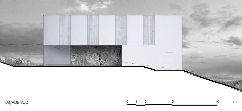 Elevation