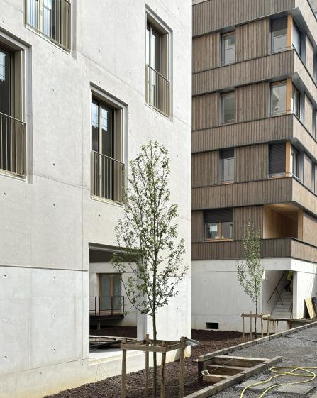 Photo depuis le coeur d'Ilot_ Photo Architectures Raphaël Gabrion
