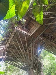 CAMP CANOPEE