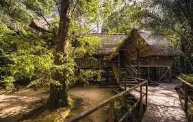 CAMP CANOPEE