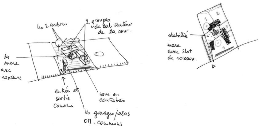 croquis 1