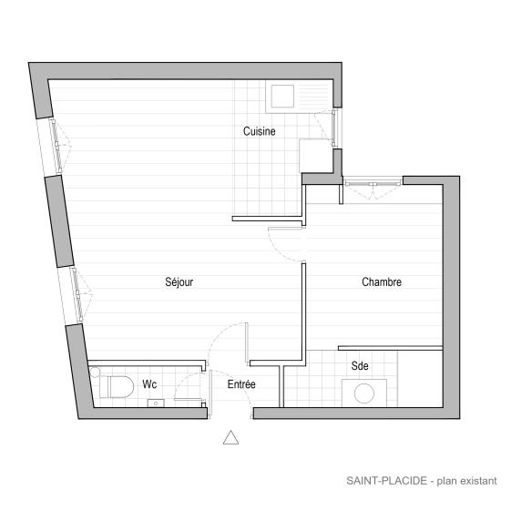 Rénovation appartement architecte hmonp - Paris