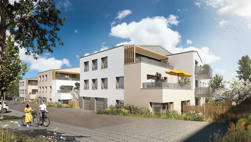 Perspective projet