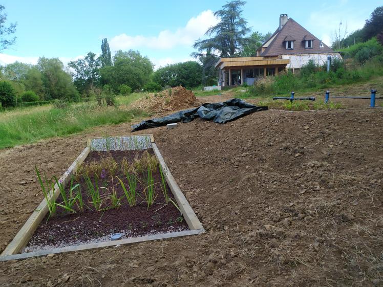 Phytoépuration