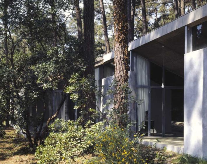 maison de vacances sous les pins. photographie de Jean Christophe Garcia